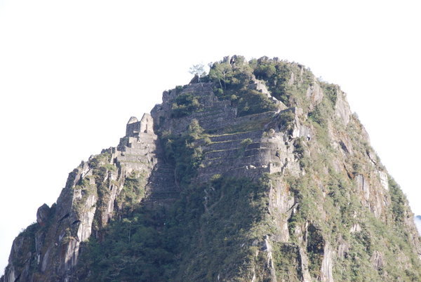 500 Year Old Terracing at Machu Picchu