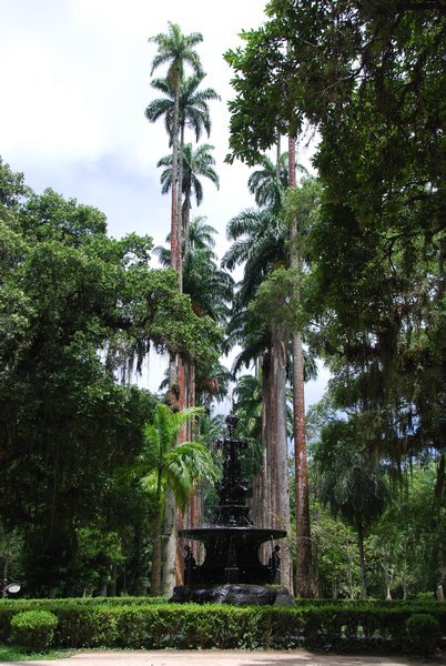 Botanic Gardens, Rio 2