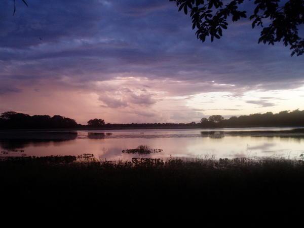 Sunset at the Pantanal