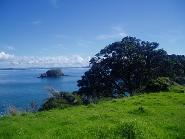The Bay of Islands