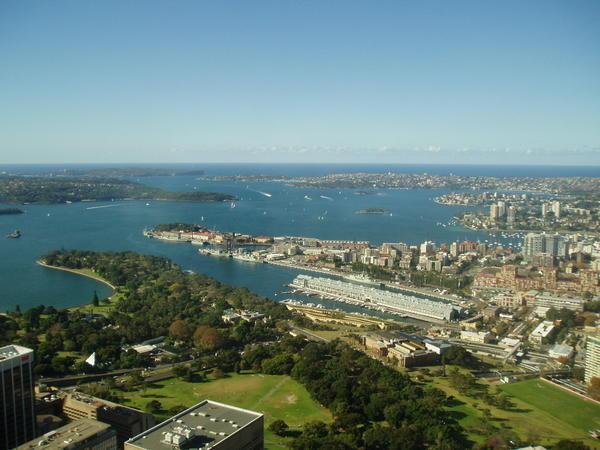 Sydney from the Skytower