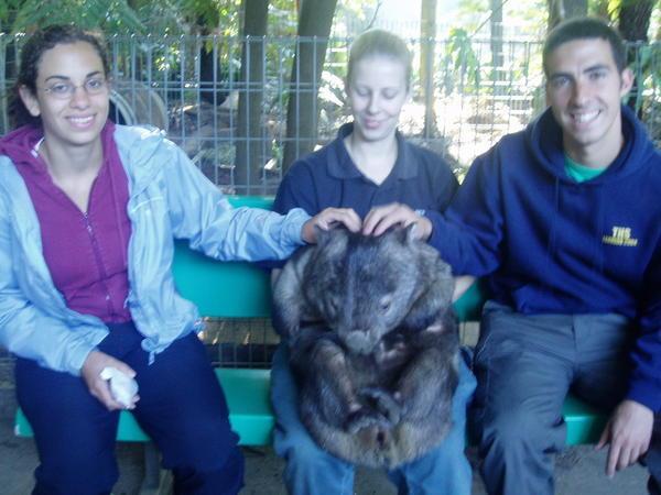 Me, Eleni and Willy the Wombat
