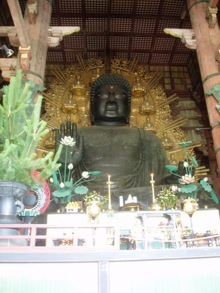 The big Buddha