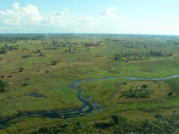 Okavango Delta from the air