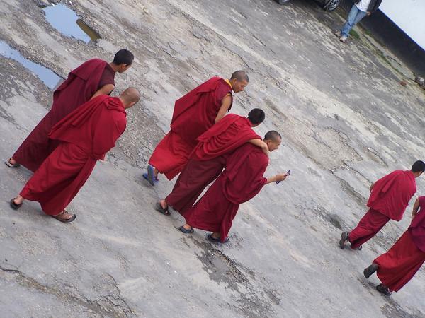 Monks on a Walk