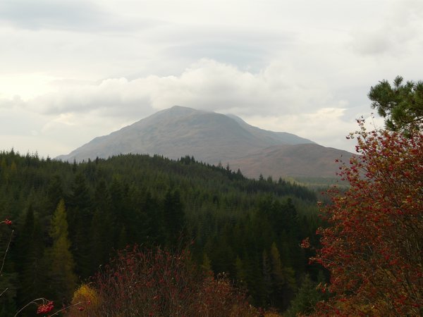 View Across The Glen