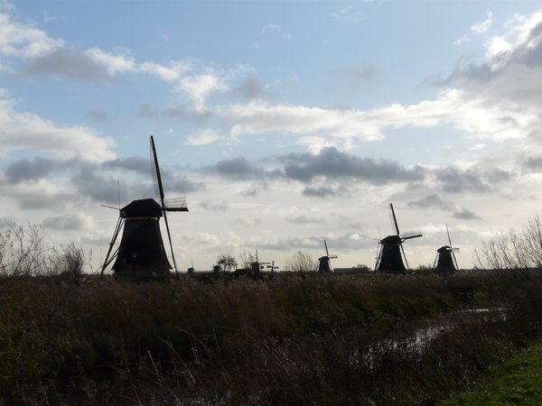 The Windmills In Full Flight
