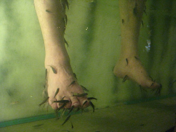 Fish eating feet