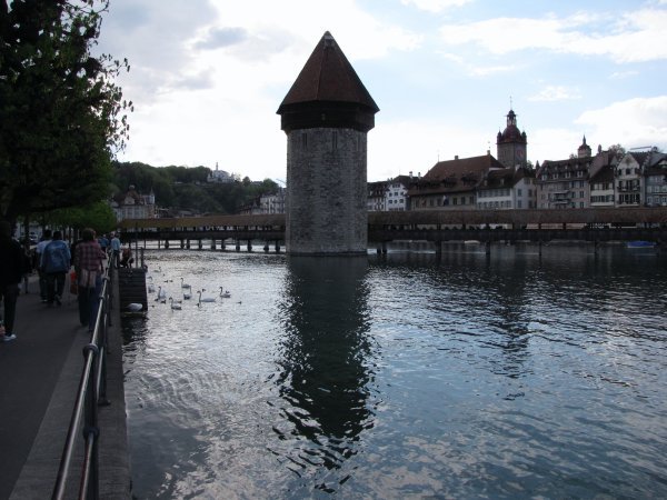 Lucerne, swans and footbridge