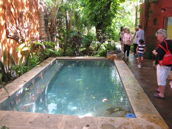 A soaking pool in courtyard