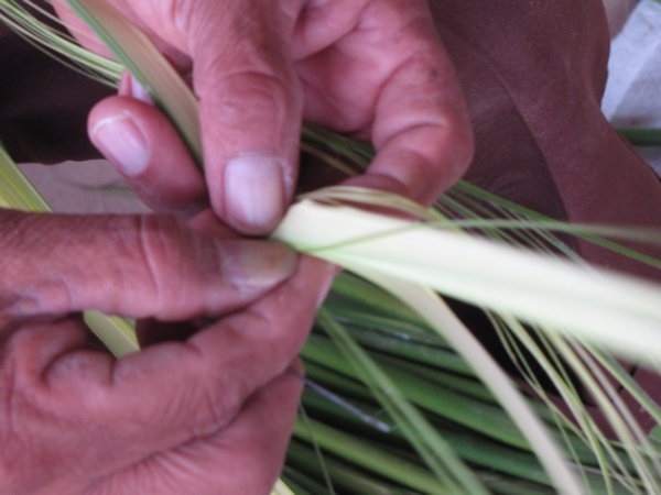 Using a needle to split fronds