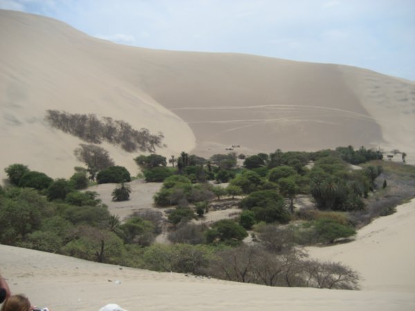 Desert, Cemetery, Nazca 013