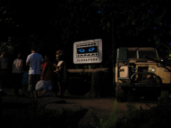 Night Safari Adventure