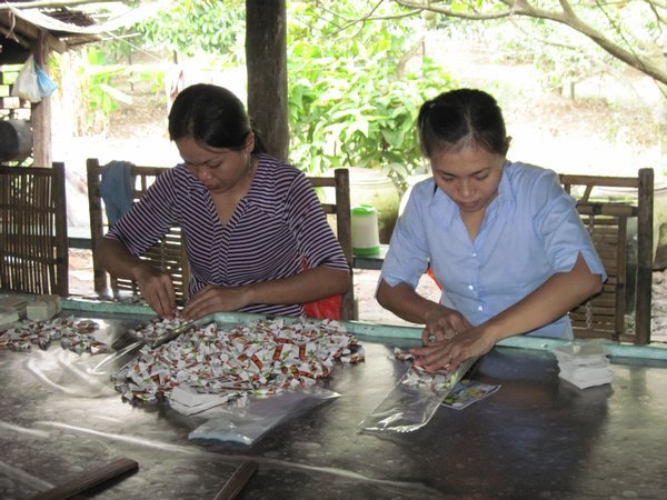 Ladies putting coconut candy into a package