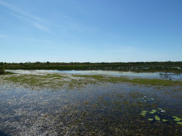 Kakadu - Mamukala Wetlands
