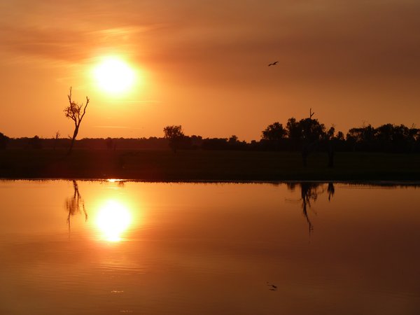 Kakadu - Yellow River - Sunset