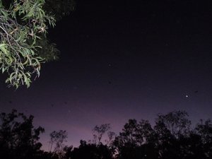 Kakadu - Cahill - If you look closely at this pic the black dots in the sky are bats, there were litterly thousands of them flying around.