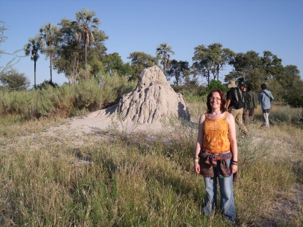 Massive termite mounds