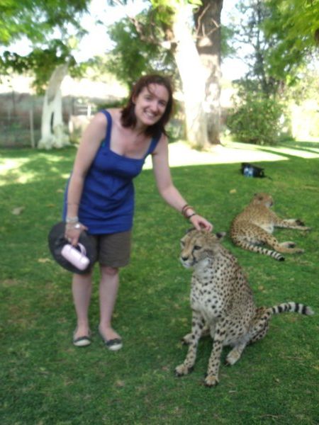 Cheetah Park, Namibia