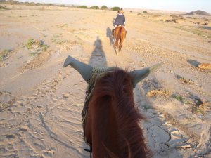 Horseriding, Swakopmund, Namibia