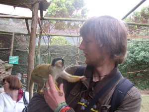 Monkey Jungle at the World of Birds, Hout Bay