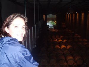 Groot Constantia Wine Farm