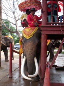Elephant boarding platform, Ayutthaya