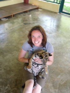 Baby Tiger, Tiger sanctuary, Chiang Mai