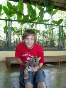 Baby Tiger, Tiger Sanctuary, Chiang Mai
