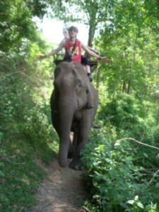 Bareback elephant riding!