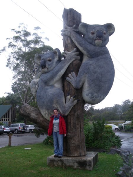 Billabong Koala and Wildlife Park entrance