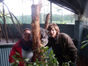 With Clancy the Koala