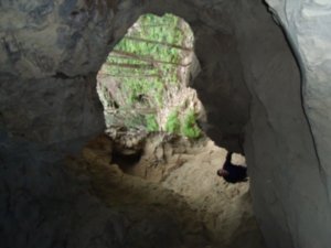 Inside cave up Mt Ngungun