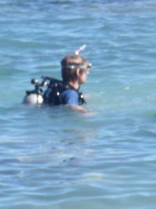Scuba diving off Blue Pearl Bay, Hayman Island