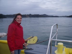 Dolphin Cruise, Bay of Islands