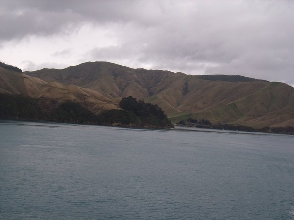 Ferry crossing in the Marlboroough Sounds