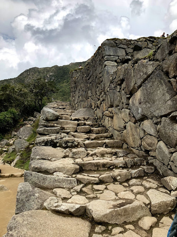 Machu Picchu - a tough climb for the not so able bodied! 