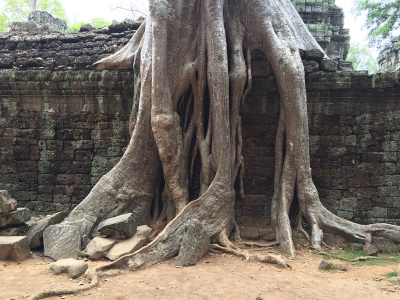 ta Prohm monastery - where time stands still
