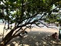 beach at Manuel Antonio National Park