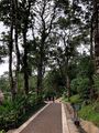 pathways inside La Paz Waterfalls Gardens, Costa Rica