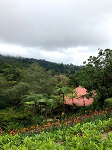 La Paz Waterfalls Gardens, Costa Rica