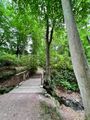 pathways amidst the greenery of Sofiero gardens