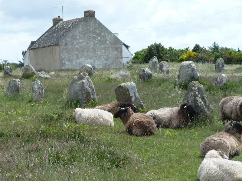 Sheep may Safely Graze 
