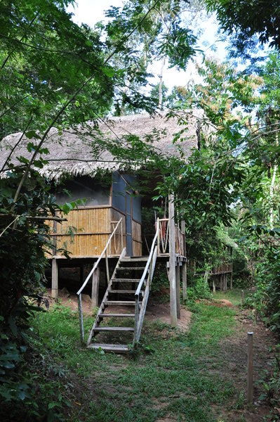 Our jungle lodge