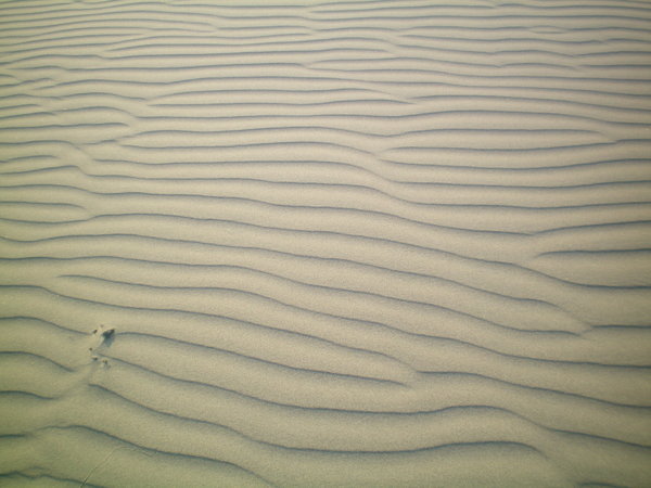 Patterns dans le sable