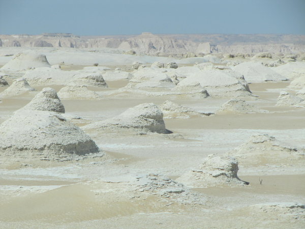 Old white desert