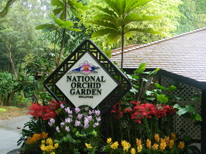 Le jardin botanique de Singapour