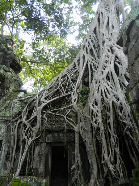 Temple de Ta Phrom