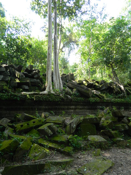 Temple 4