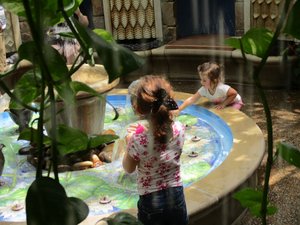 Jardin d'eau pour enfant des Longwood Gardens